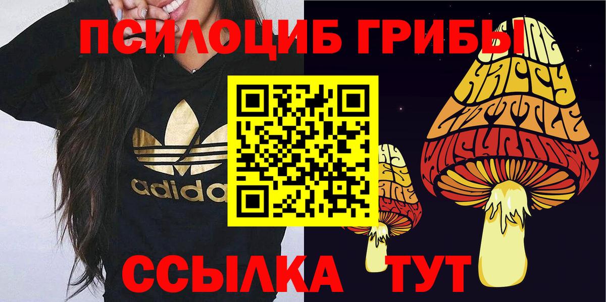 Галлюциногенные грибы ЛСД Мариинск