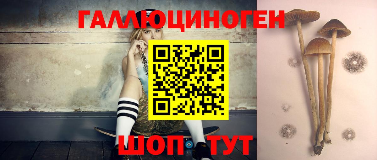 Мариинск  Псилоцибиновые грибы мухоморы  Вход с VPN 