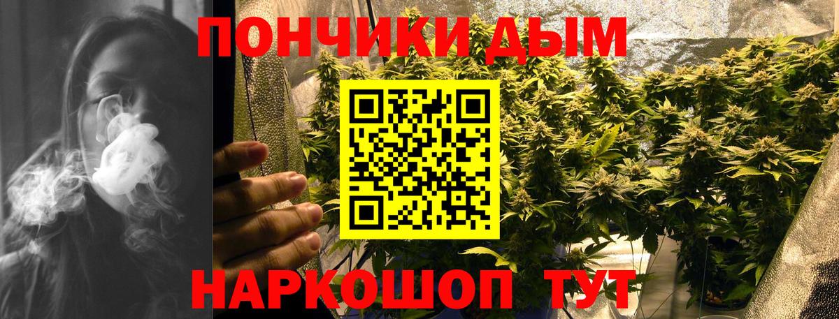 Каннабис план  Бошки марихуана ГИДРОПОН  Вход с VPN  Шишки марихуана THC 21%  Мариинск 